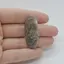 Cabochon Agat Crazy Lace 41x17x6mm C133