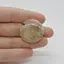 Cabochon Agat Dentritic 28x28x7mm C49