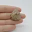 Cabochon Agat Dentritic 29x27x7mm C21