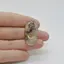 Cabochon Agat Dentritic 35x17x6mm C12