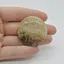 Cabochon Agat Dentritic 38x38x5mm C18