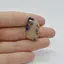 Cabochon Agat Montana 29x17x6mm C34
