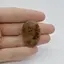 Cabochon Agat Montana 34x23x5mm C15