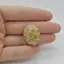 Cabochon Coral Fosilic 26x20x7mm C48