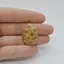 Cabochon Coral Fosilic 27x19x6mm C42