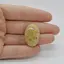 Cabochon Coral Fosilic 28x19x6mm C28
