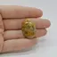 Cabochon Coral Fosilic 28x20x7mm C39