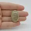 Cabochon Coral Fosilic 30x21x6mm C19