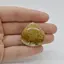 Cabochon Coral Fosilic 30x30x6mm C3