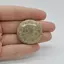 Cabochon Coral Fosilic 31x31x7mm C62
