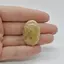Cabochon Coral Fosilic 32x21x7mm C56