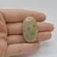 Cabochon Coral Fosilic 37x22x7mm C53