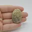 Cabochon Coral Fosilic 37x25x7mm C64