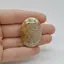 Cabochon Coral Fosilic 37x27x6mm C54