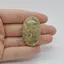 Cabochon Coral Fosilic 39x25x7mm C17