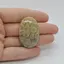 Cabochon Coral Fosilic 39x26x8mm C31