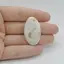Cabochon Cuart Solar 36x21x6mm C84