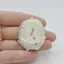 Cabochon Cuart Solar Felie 44x34x8mm C7