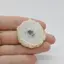 Cabochon Cuart Solar Felie 35x36x7mm C45