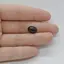 Cabochon Granat Hessonit 11x9x5mm C73