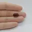 Cabochon Granat Hessonit 13x9x4mm C269