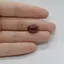 Cabochon Granat Hessonit 14x10x5mm C44