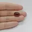 Cabochon Granat Hessonit 14x11x5mm C227
