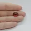 Cabochon Granat Hessonit 14x11x5mm C86