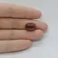 Cabochon Granat Hessonit 15x10x5mm C259