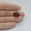 Cabochon Granat Hessonit 15x12x6mm C101