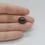 Cabochon Granat Stelar 14x11x7mm C30