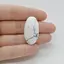 Cabochon Howlit 34x18x7mm C85