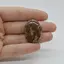Cabochon Jasp Asteroid 31x23x6mm C46