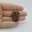 Cabochon Jasp Asteroid 32x22x4mm C20