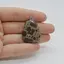 Cabochon Jasp Asteroid 34x24x7mm C5