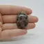 Cabochon Jasp Asteroid 34x24x7mm C51