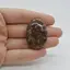Cabochon Jasp Asteroid 37x26x8mm C10
