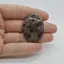 Cabochon Jasp Asteroid 37x27x6mm C25