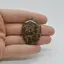 Cabochon Jasp Asteroid 38x26x7mm C52