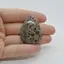 Cabochon Jasp Asteroid 40x29x8mm C29