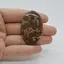 Cabochon Jasp Asteroid 46x29x7mm C12