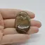 Cabochon Jasp Cobra 43x28x5mm C46