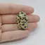 Cabochon Jasp Dalmatian 32x20x6mm C12