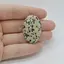 Cabochon Jasp Dalmatian 35x23x7mm C25