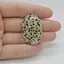 Cabochon Jasp Dalmatian 36x23x6mm C38