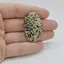 Cabochon Jasp Dalmatian 37x23x5mm C84