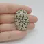 Cabochon Jasp Dalmatian 37x25x6mm C93