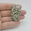 Cabochon Jasp Dalmatian 43x26x7mm C78