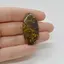 Cabochon Jasp Fruity 40x20x6mm C68