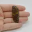 Cabochon Jasp Fruity 44x17x6mm C26